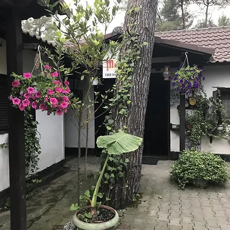 Viena Kompleks Maison d'hôtes *