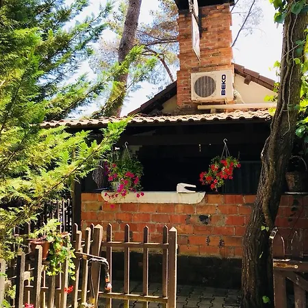 Viena Kompleks Maison d'hôtes Golem (Tirana)