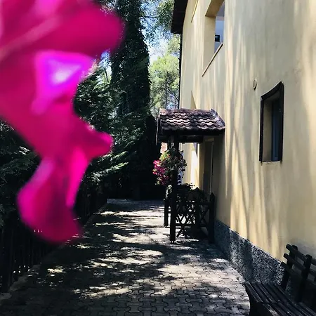 Guest house Viena Kompleks